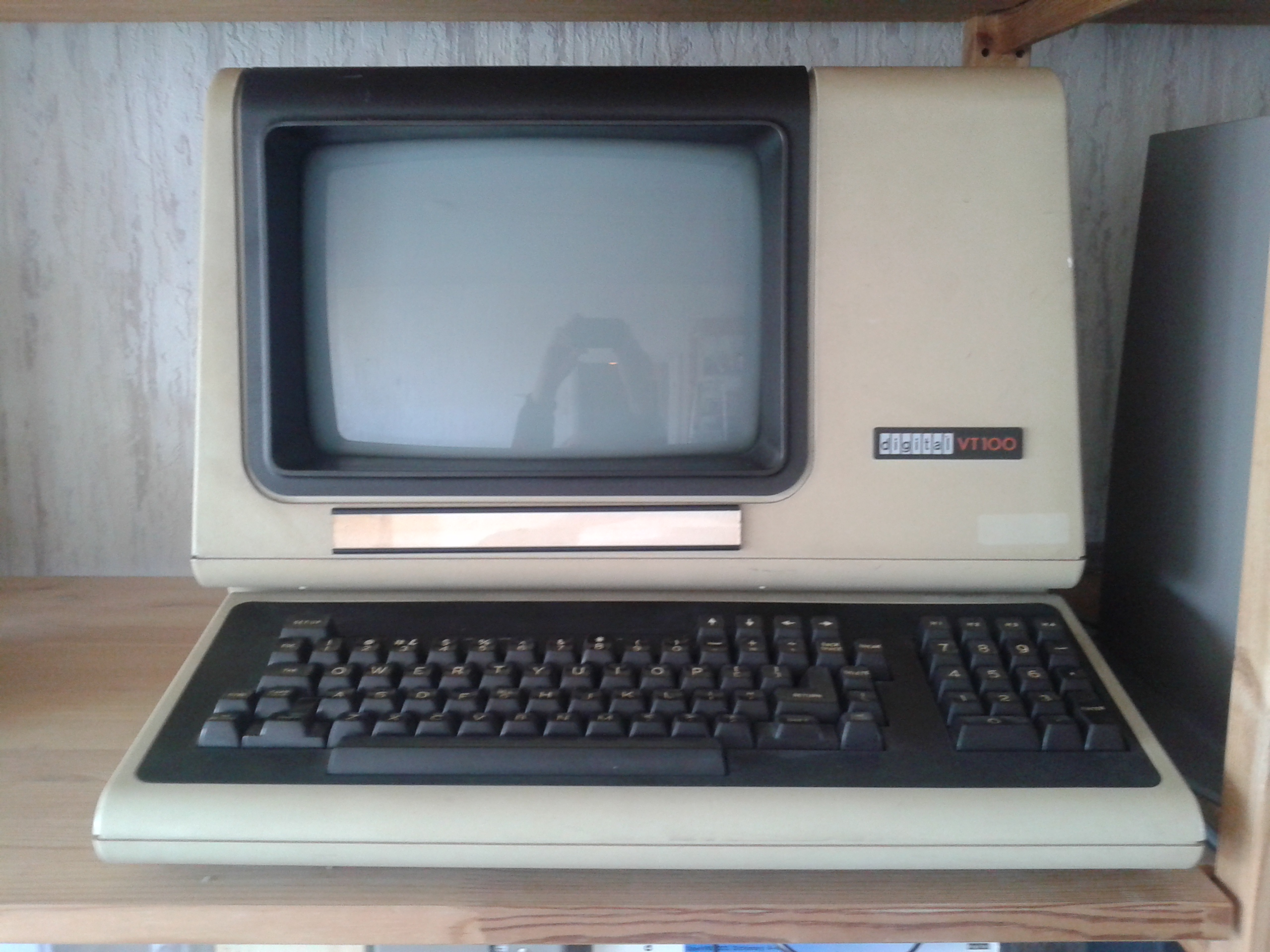 VT100